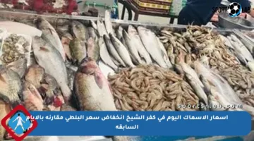 أسعار الأسماك اليوم في كفر الشيخ انخفاض سعر البلطى مقارنة بالأيام السابقة